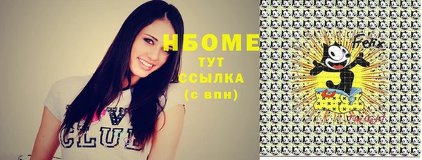 прущий лед Нея