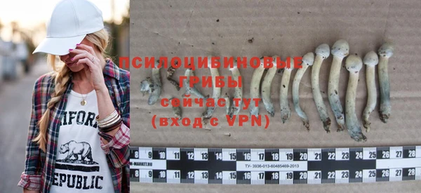 соль ск Навашино