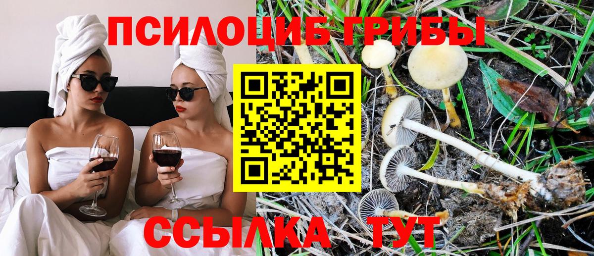 Псилоцибиновые грибы Cubensis  Вход с VPN  Владимир 